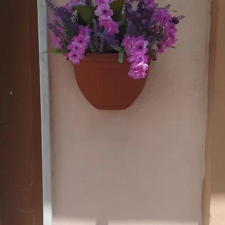 Apartment Camarda *